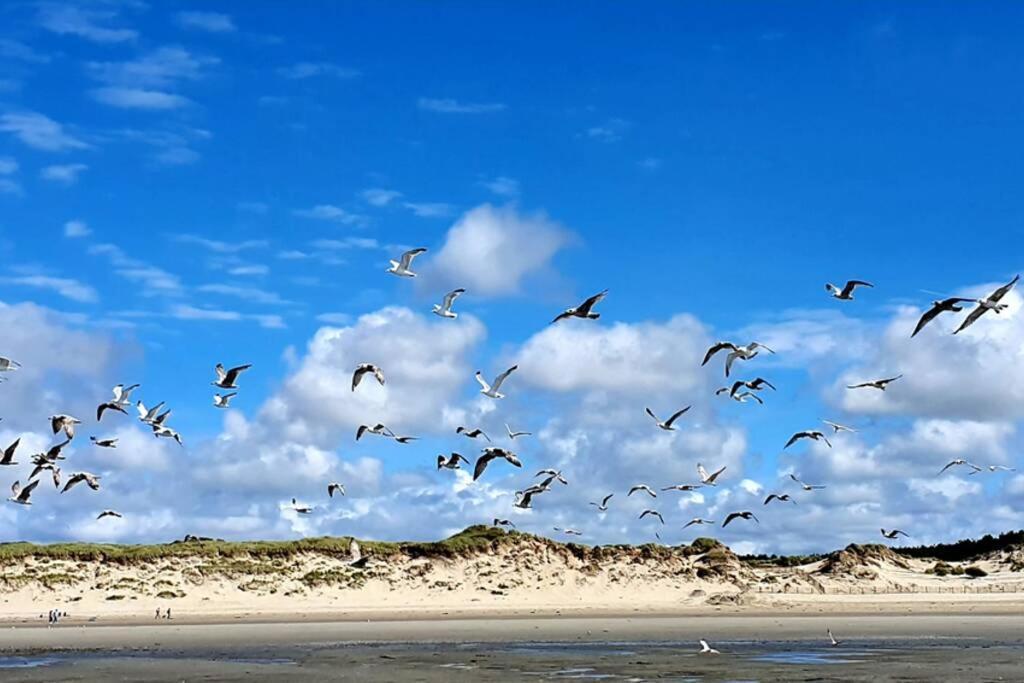 La Cabane Des Dunes A Fort-Mahon Plage 외부 사진